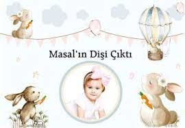 TAVŞAN DİŞ BUĞDAYI KONSEPT